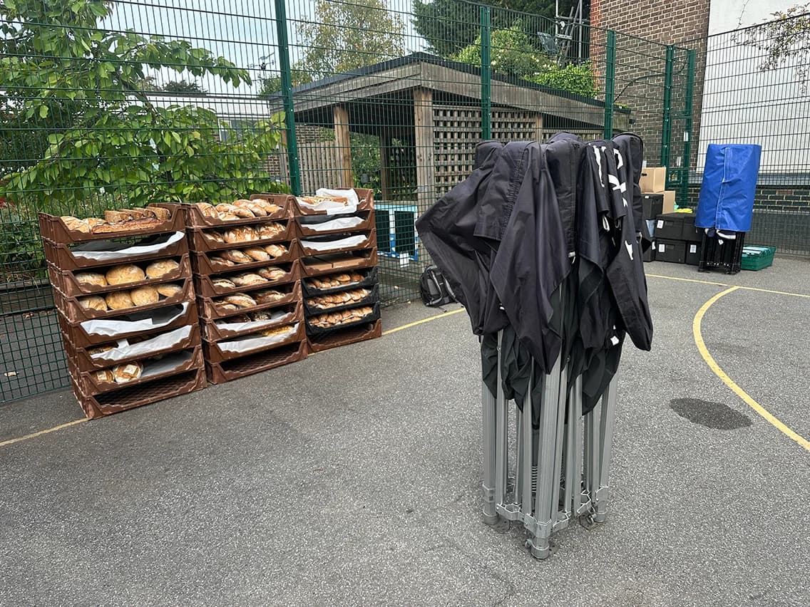 Setup location for Primrose